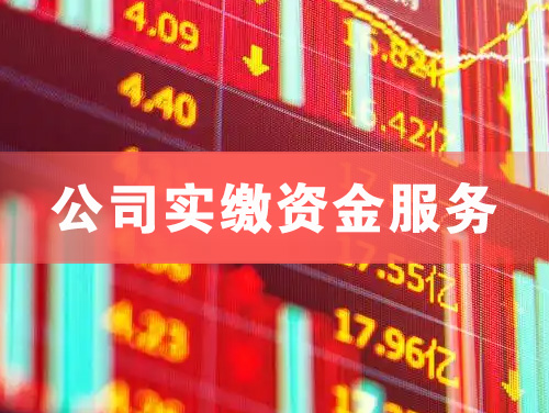 江陵公司实缴资金服务