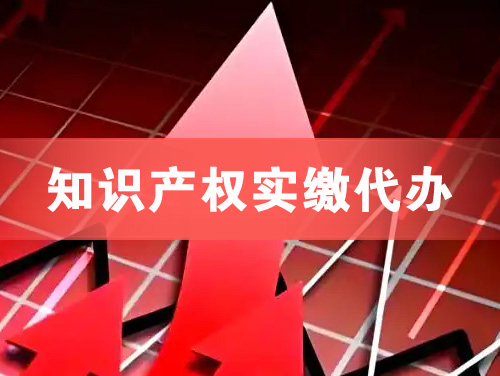 江陵知识产权实缴资本代办